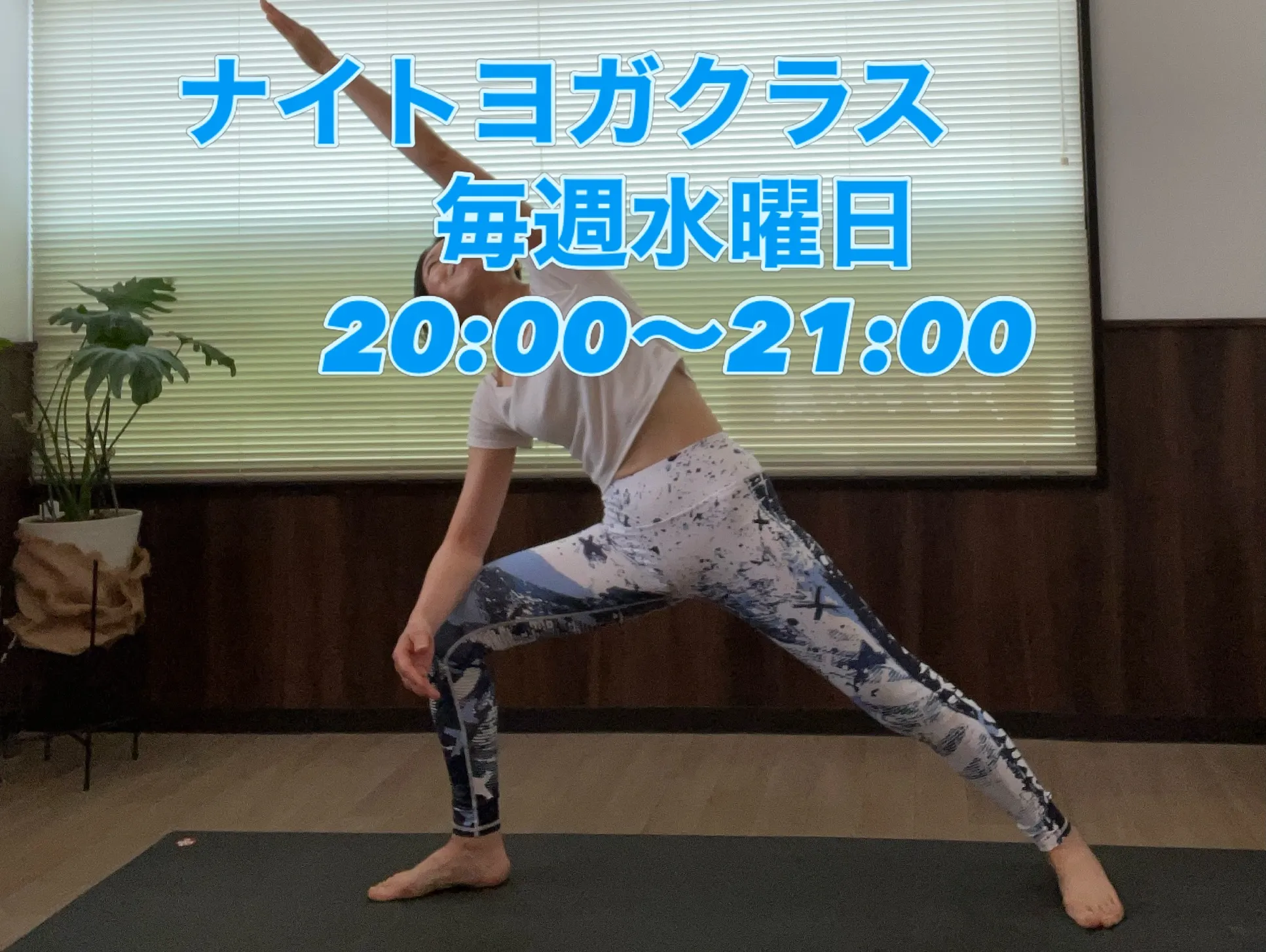 あまりに暑いので、8月から夜レッスンを始めます🌙